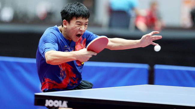 大胜萨莱尼 大胜萨莱尼