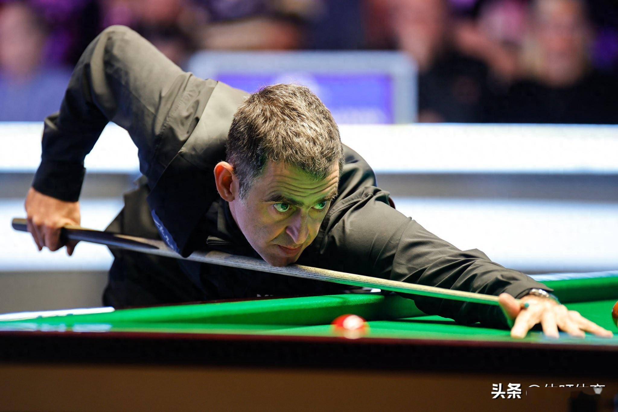 供了新的动 供了新的动